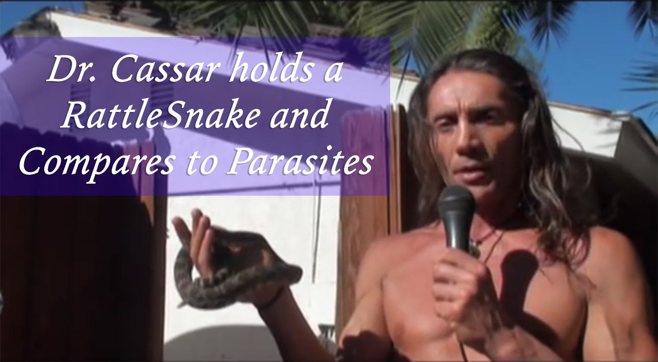 Southern Pacific Rattlesnake compared to Parasites by Dr. Robert Cassar