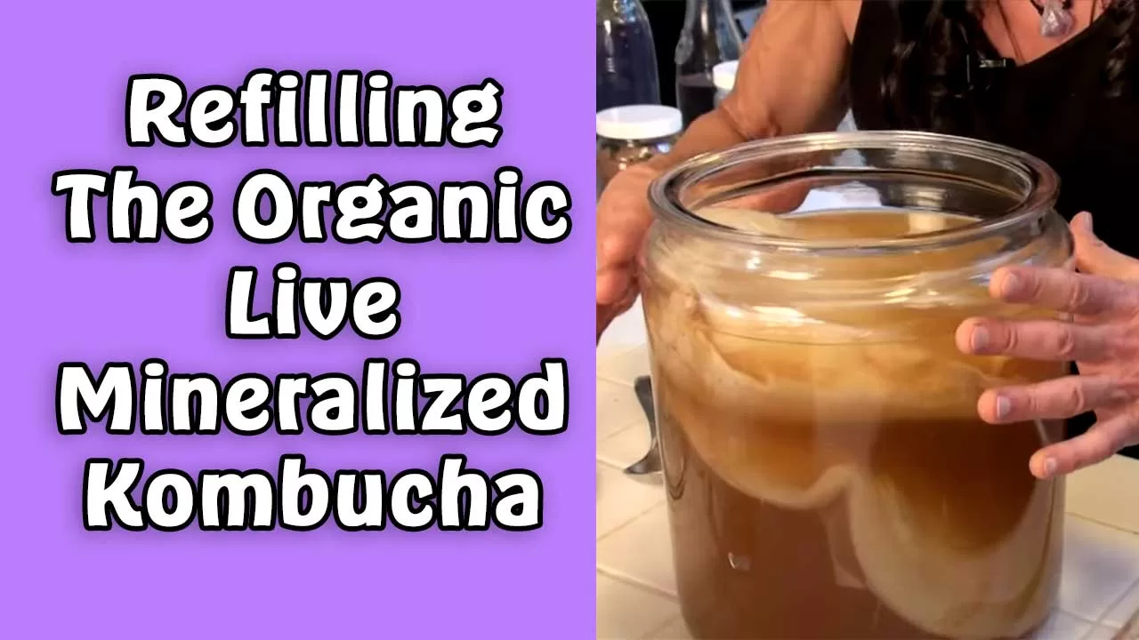 Refilling The Organic Live Mineralized Kombucha