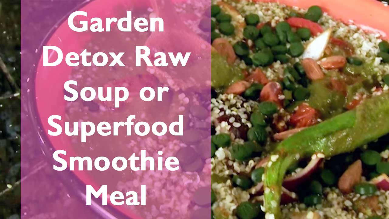 Garden Detox Raw Soup or Superfood Smoothie Meal