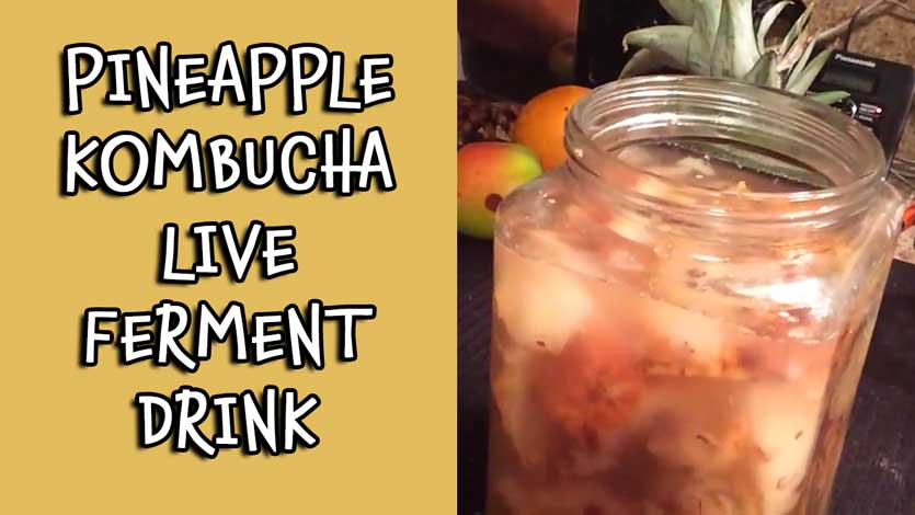 Pineapple Kombucha Live Ferment Drink