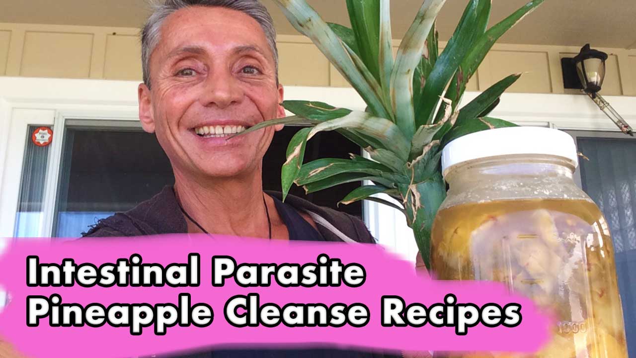 Intestinal Parasite Pineapple Cleanse Recipes