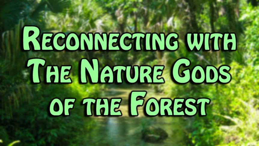 Reconnecting with The Nature Gods of the Forest