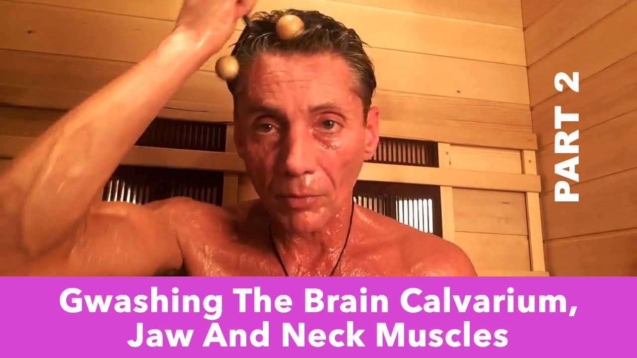 Gwashing The Brain Calvarium, Jaw And Neck Muscles Part 2