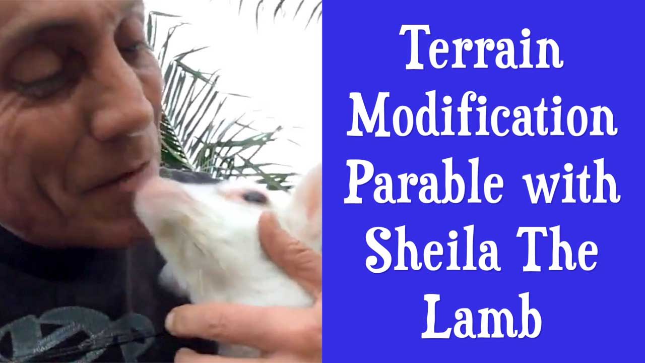 Terrain Modification Parable with Sheila The Lamb