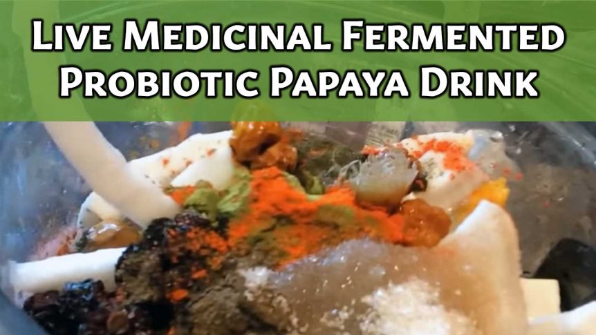 Live Medicinal Fermented Probiotic Papaya Drink