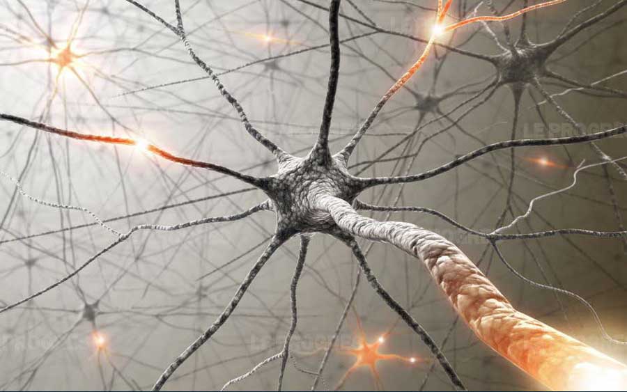 Nerve Cells Transmitting Bio-Electricity