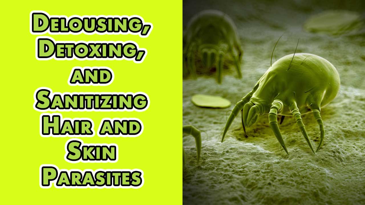 Delousing, Detoxing, and Sanitizing Hair and Skin Parasites