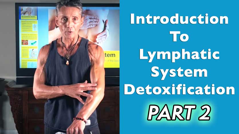 Introduction To Lymphatic System Detoxification Part 2