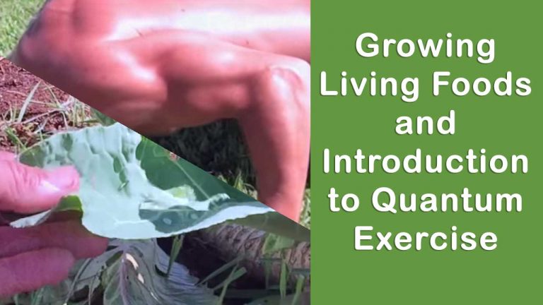Growing Living Foods and Introduction to Quantum Exercise