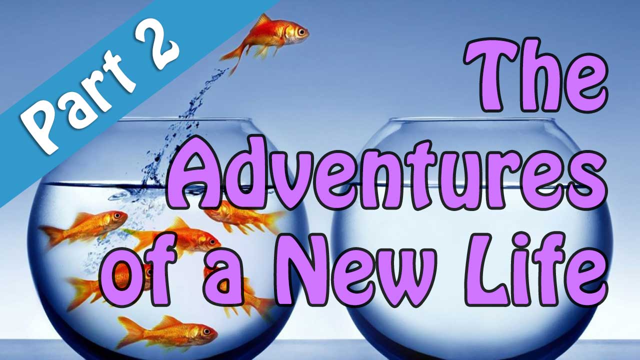 The Adventures of a New Life Part 2