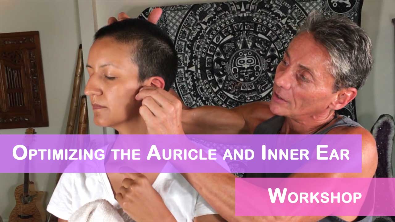 Optimizing the Auricle and Inner Ear Workshop