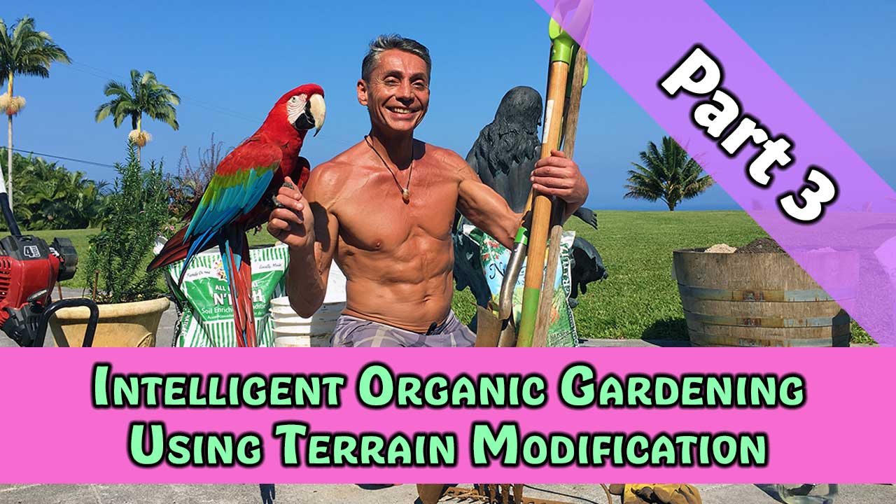 Intelligent Organic Gardening Using Terrain Modification Part 3