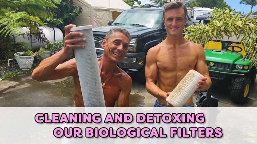 Cleaning and Detoxing Our Biological Filters