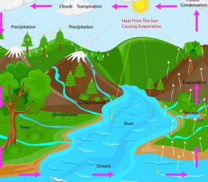 The Curative Power of Distilled Water Flow Chart