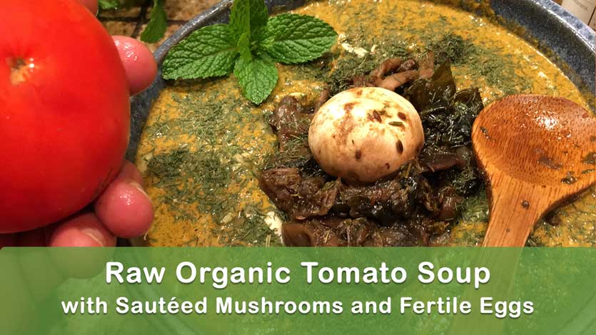 Raw Organic Tomato Soup with Sautéed Mushrooms and Fertile Eggs