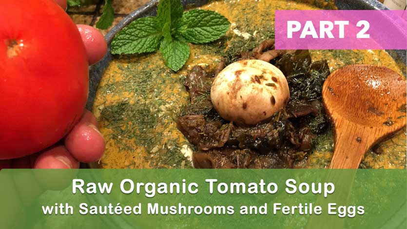 Raw Organic Tomato Soup with Sautéed Mushrooms and Fertile Eggs