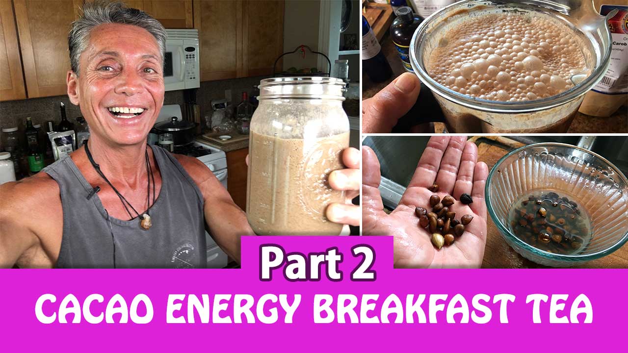 Cacao Energy Breakfast Tea Part 2