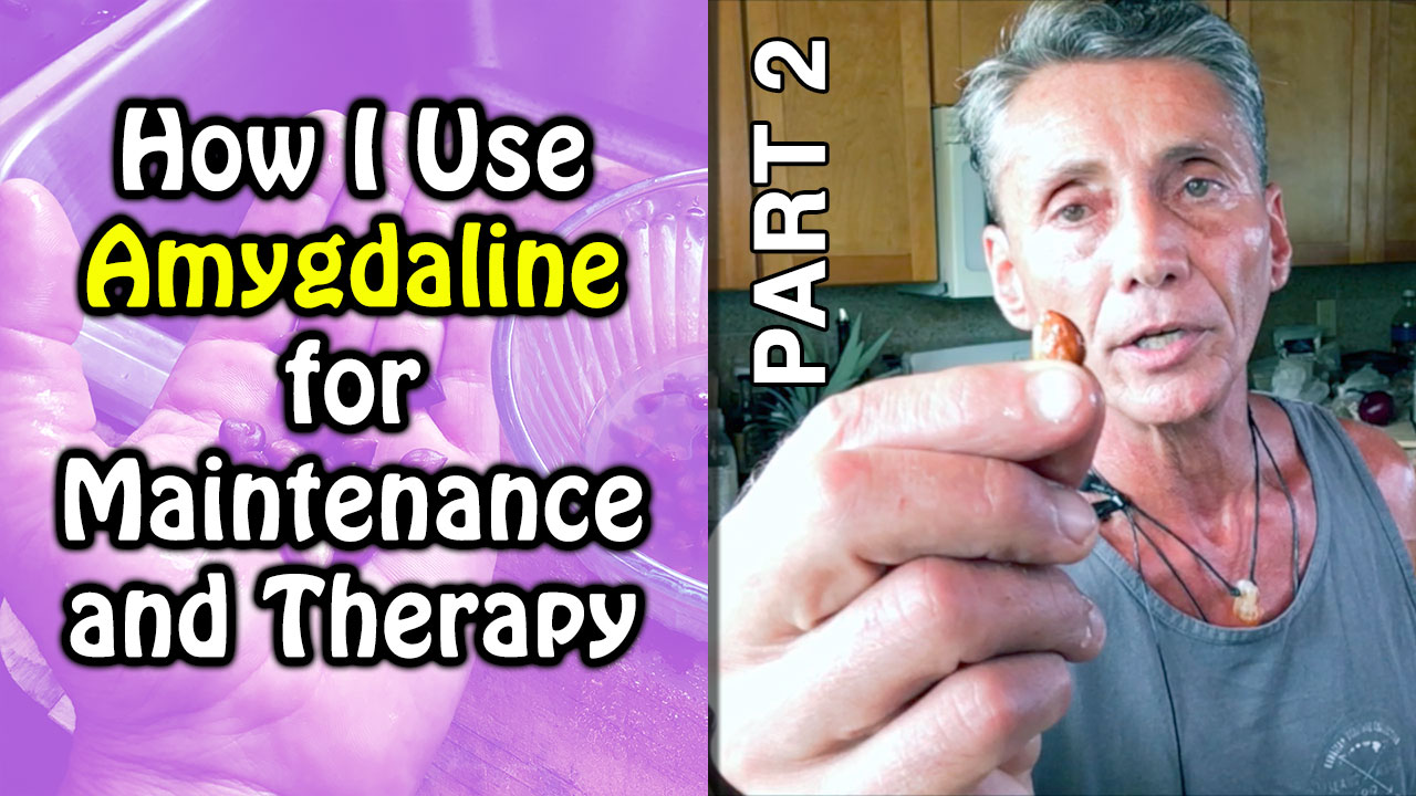 How I Use Amygdaline for Maintenance and Therapy Part 2