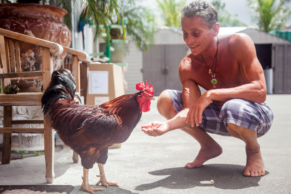 Dr. Robert Cassar With His Rooster Colorado