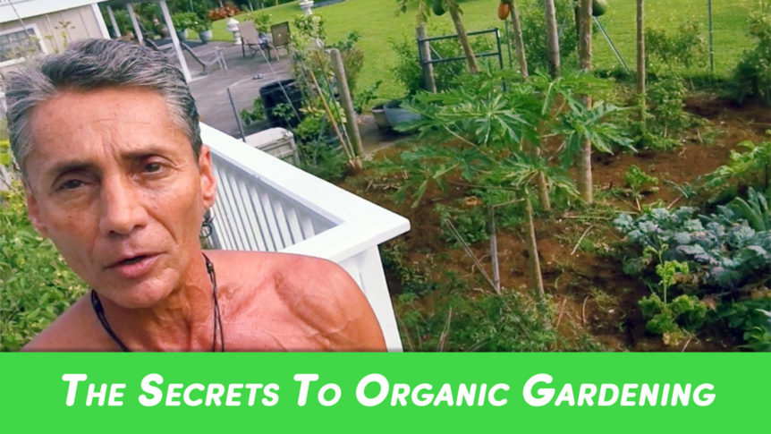 The Secrets To Organic Gardening