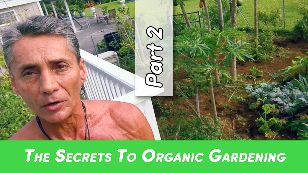 The Secrets To Organic Gardening Part 2