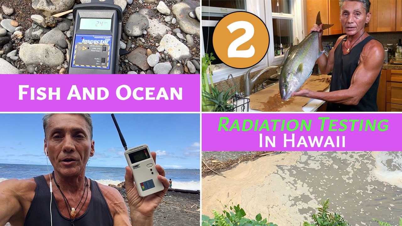 Fish And Ocean Radiation Testing In Hawaii Part 2