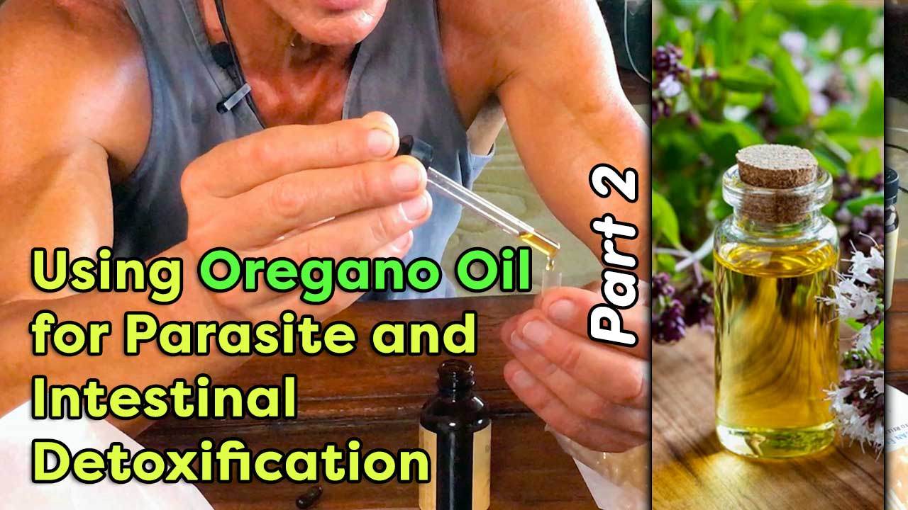 Using Oregano Oil For Parasite And Intestinal Detoxification Part 2