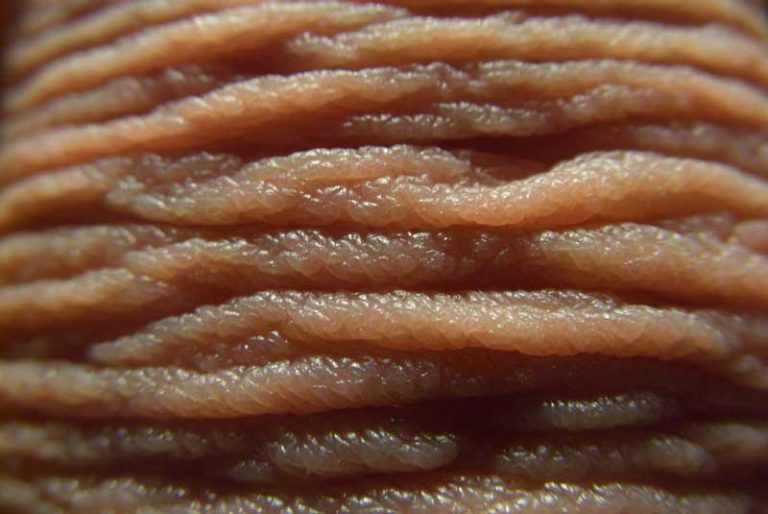 Leather Skin and Callus Treatments Earther Academy