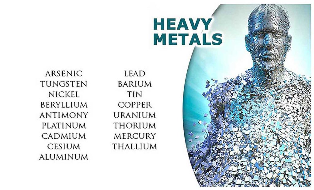 Heavy Metals In The Human Body