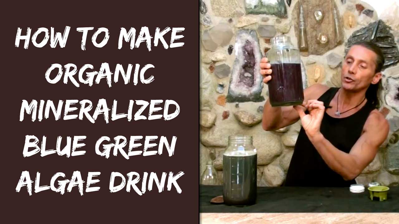 How To Make Organic Mineralized Blue Green Algae Drink