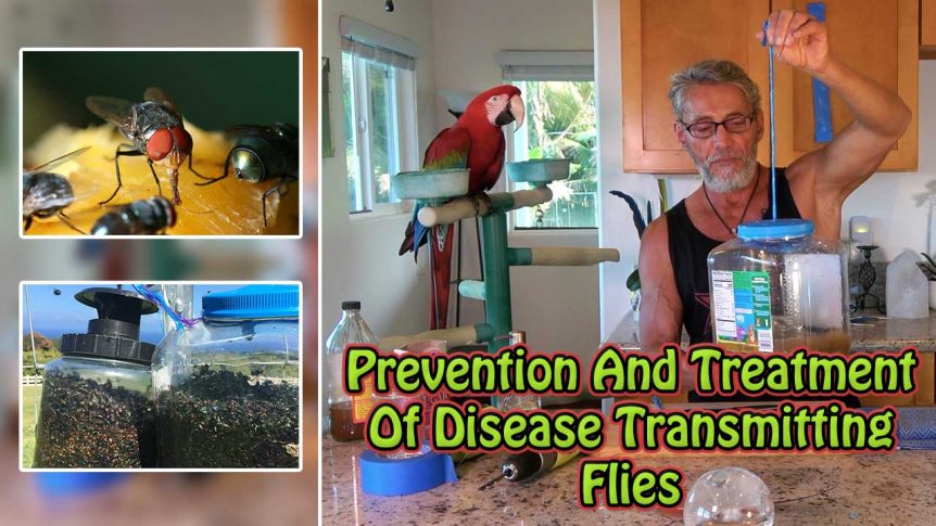 Prevention And Treatment Of Disease Transmitting Flies